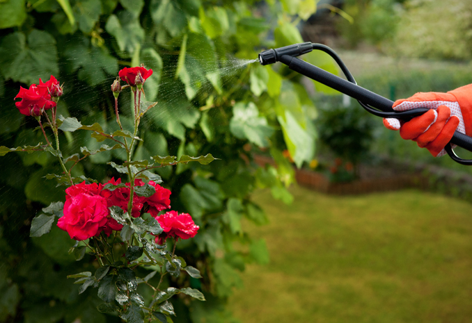 17年品質專注，鑄就行業(yè)專家